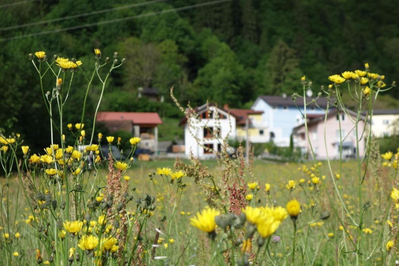 Hisa Lenart Apartment Tolmin Exterior photo