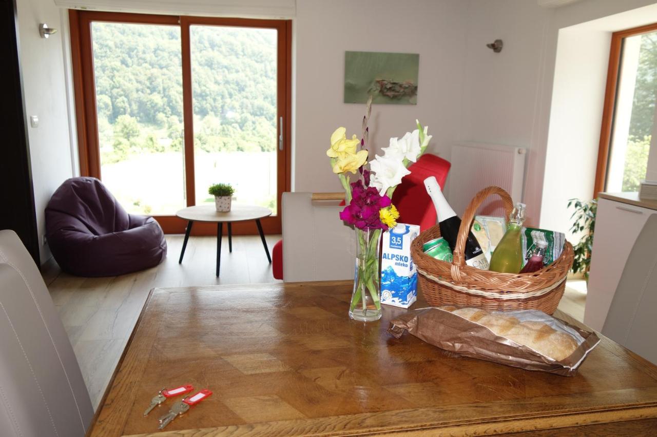 Hisa Lenart Apartment Tolmin Exterior photo